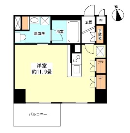 グランカーサ新宿御苑904号室
