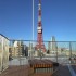 ベルファース東麻布テラスの画像１２