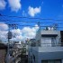 三茶花壇の画像１２